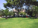 Crysland Hotel Garden, click to enlarge this photograph