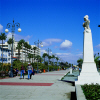 Larnaca Town Palm Tree Sea Front, click to enlarge this photgraph